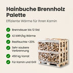Halbe palette kammergetrocknetes gespalten Hainbuche Brennholz 25cm